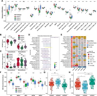Ferroptosis regulators related scoring system by Gaussian finite mixture model to predict prognosis and immunotherapy efficacy in nasopharyngeal carcinoma